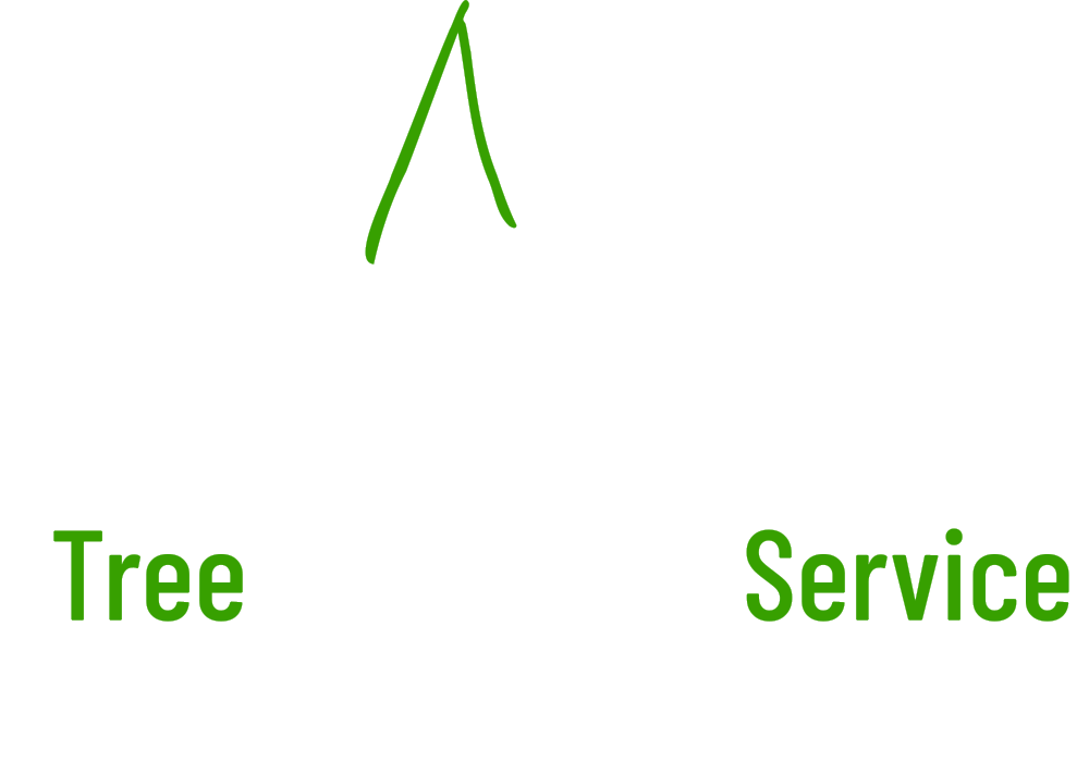 Deep Roots Tree Service, Anacortes, Skagit County